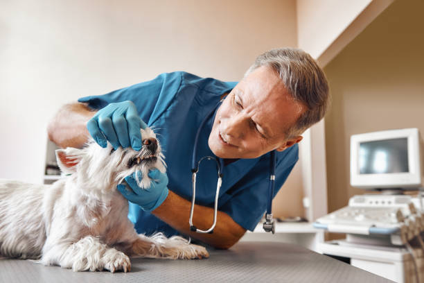 Best Emergency Tooth Extraction in Felton, CA